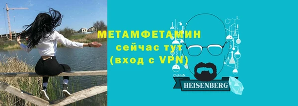 индика Козельск